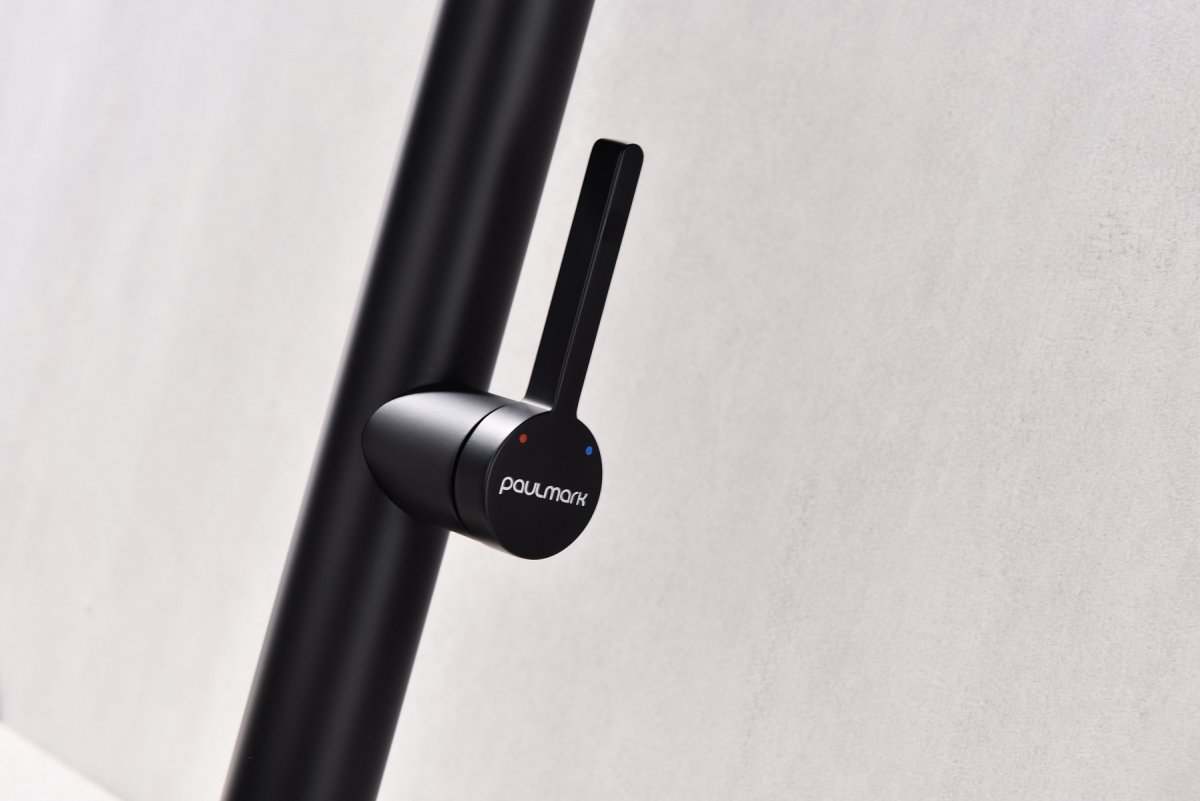 Смеситель для кухни Paulmark LEADER, антрацит, Le214101-AN