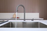 Смеситель для кухни Paulmark ESTETICA, вороненая сталь, Es218006-GM
