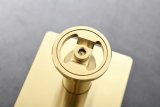 Душевая система Bronze de Luxe 1760S 6630CG, матовое золото