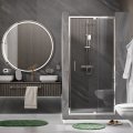 Душевая дверь WasserKraft 48P04