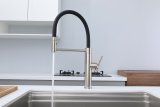 Смеситель для кухни Paulmark GANYMEDE, брашированная сталь, Ga213199-BS